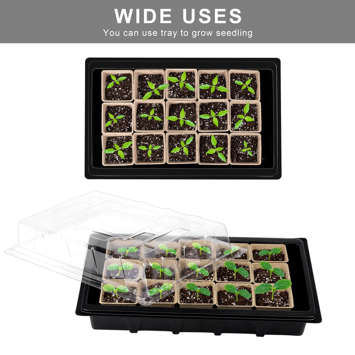 Aodaer humidity lid maintains moisture during propagation.