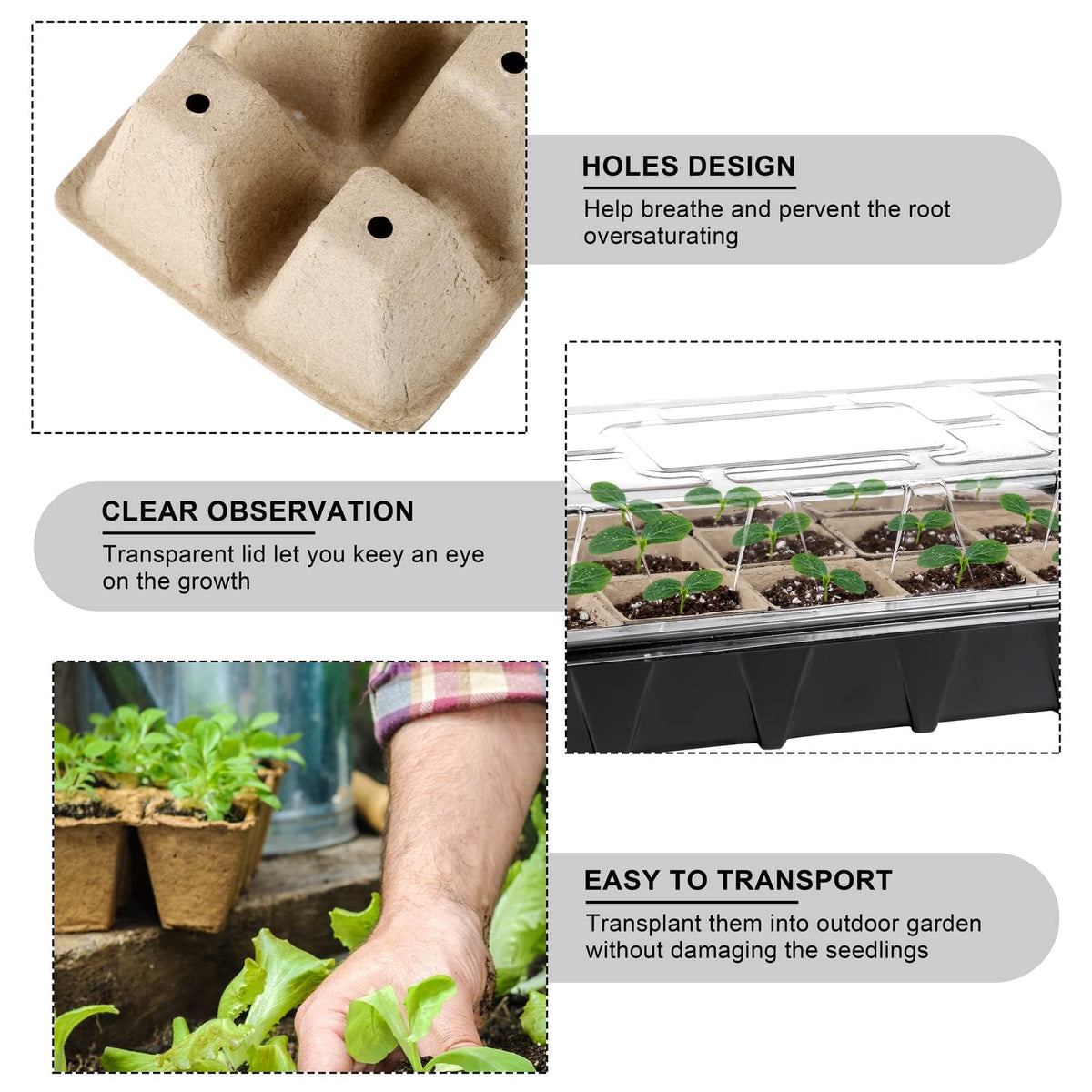 Aodaer plant labels for organized seedling tracking.