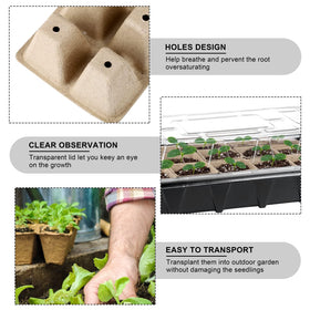 Aodaer plant labels for organized seedling tracking.