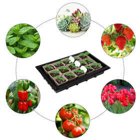 Aodaer plastic growing trays are sturdy and reusable.