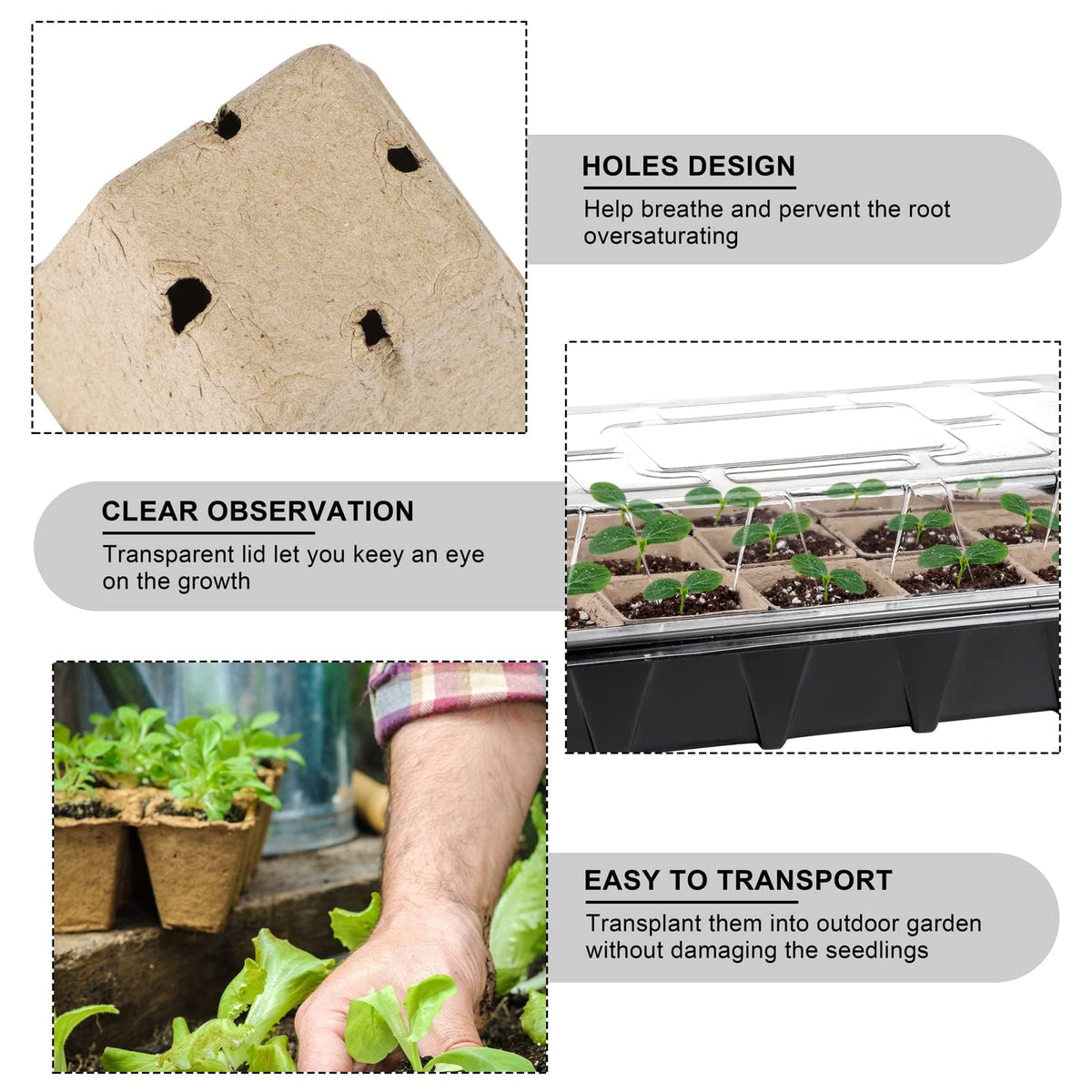 Aodaer plant-labels help track varieties and growth stages.