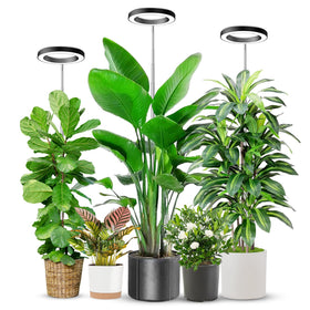 Aokrean 6.3in grow light with 80 LEDs for bright, full-spectrum seedlings.