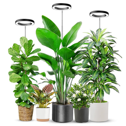 Aokrean 6.3in grow light with 80 LEDs for bright, full-spectrum seedlings.