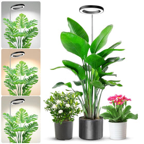 Aokrean 80-LED full spectrum grow light, front view, ideal for compact indoor gardens.