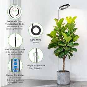 Aokrean grow light with auto timer for simple plant cycles.