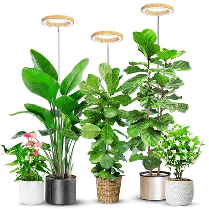 Aokrean grow light wood grain ring enhances stylish indoor gardening