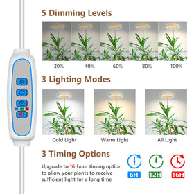 Aokrean 6000K white mode helps germination and leafy greens establish.