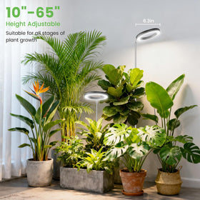 Aokrean adjustable pole supports tall plants and flexible positioning.