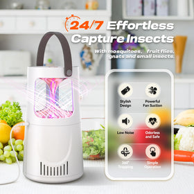 AOKUSOL Fruit Fly Trap with sticky boards offers easy replacements.