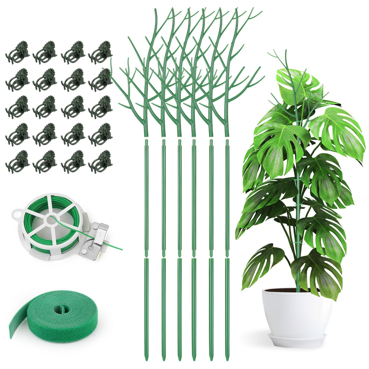 AOM six-pack twig plant stakes indoors blend with Monstera for neat support