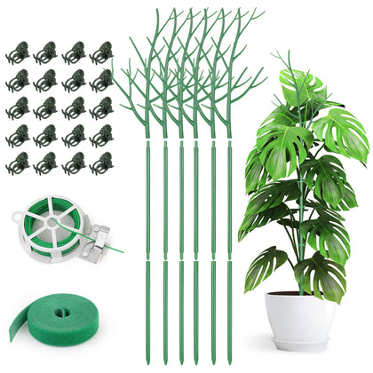 AOM six-pack twig plant stakes indoors blend with Monstera for neat support