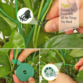 AOM indoor-outdoor plant stakes kit for vines, roses, and succulents