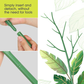 AOM Monstera support setup using rust-free plastic stakes
