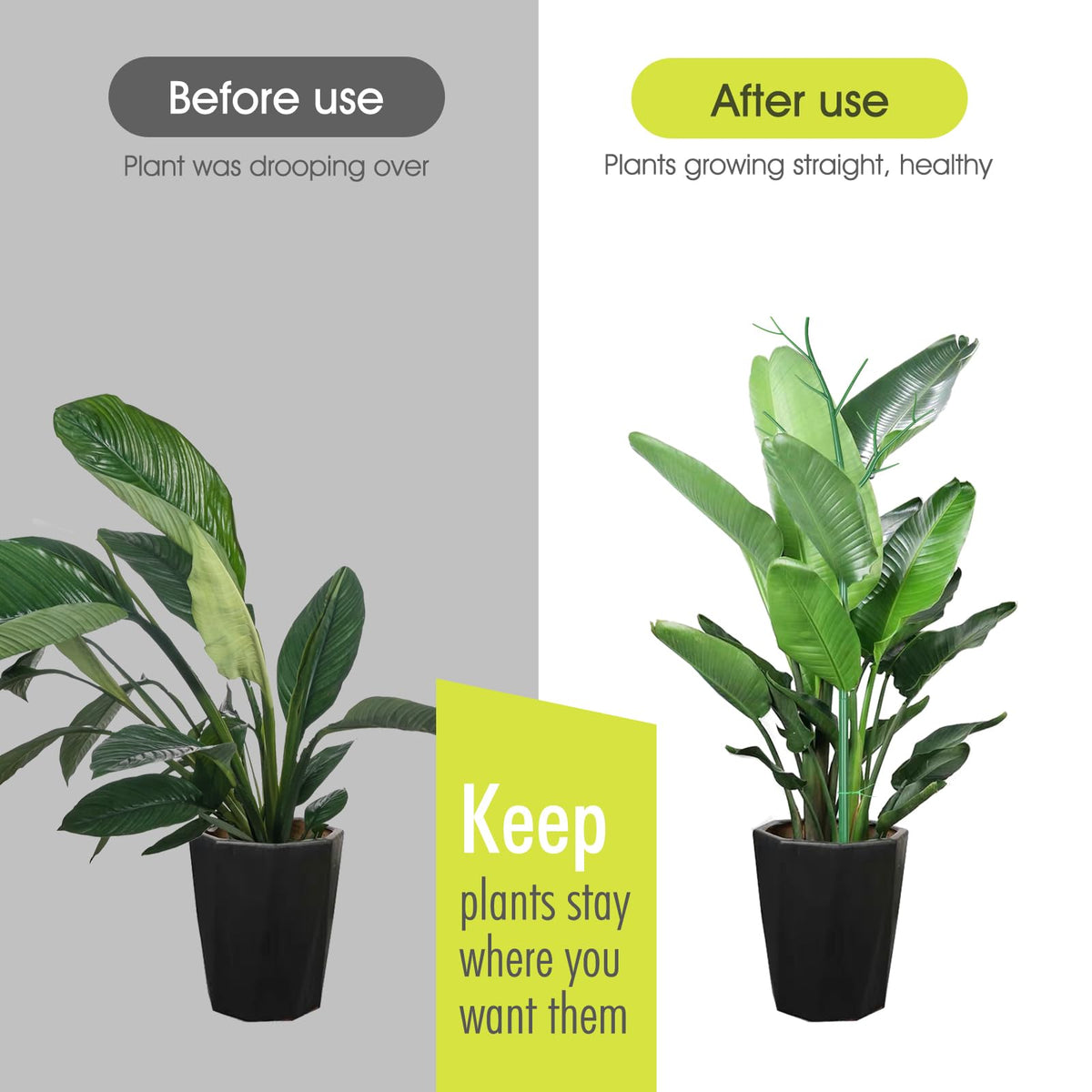 AOM plant tape keeps stems secure and neatly arranged in pots