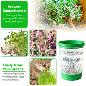AOMGD harvest-ready sprouts appear crisp and fresh.