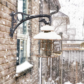 Aonagi multi-use décor hook for feeders, chimes, and lights.