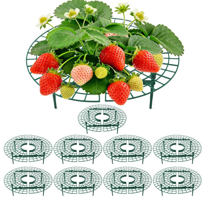 AONYIYI round strawberry plant support lifts fruit for better airflow and cleaner berries