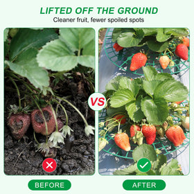 Sturdy PP plastic construction resists weather for multi-season use