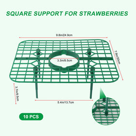 AONYIYI square frame strawberry stem support maintains airflow and prevents crowding