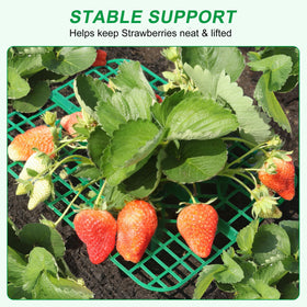 AONYIYI strawberry frame used in containers keeps fruit clean