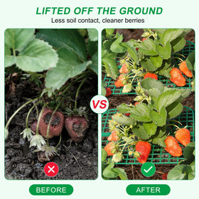AONYIYI strawberry plant support elevates fruit to reduce mud splash after watering