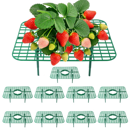 AONYIYI strawberry plant support square frame assembly keeps fruit off soil for cleaner harvest