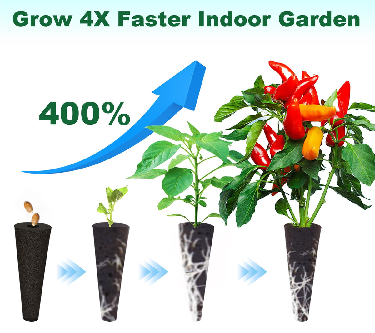 Aooccder dry seed pods sponges prevent mold and ready for use