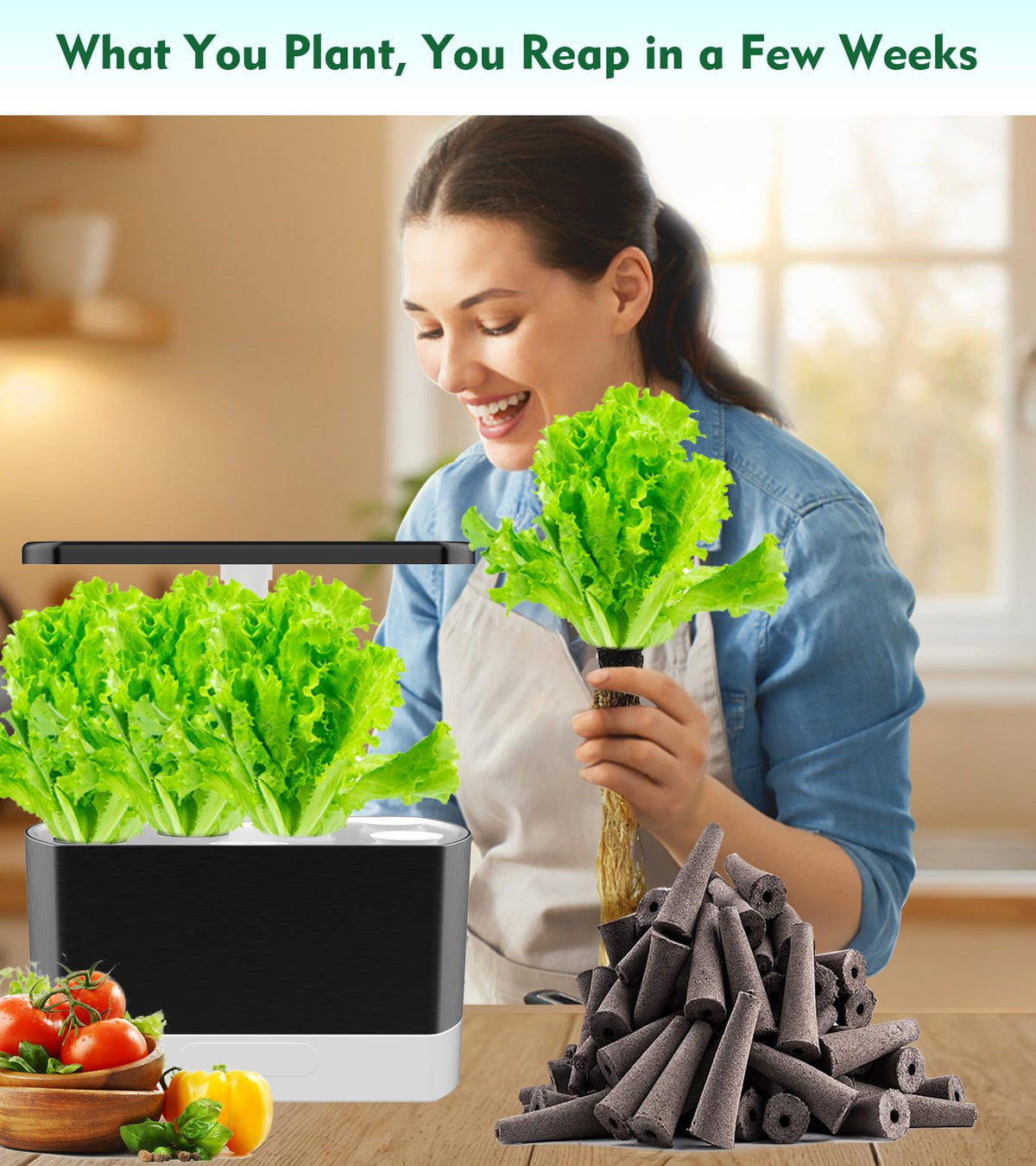 Aooccder root growth sponges aiding sturdy early root development