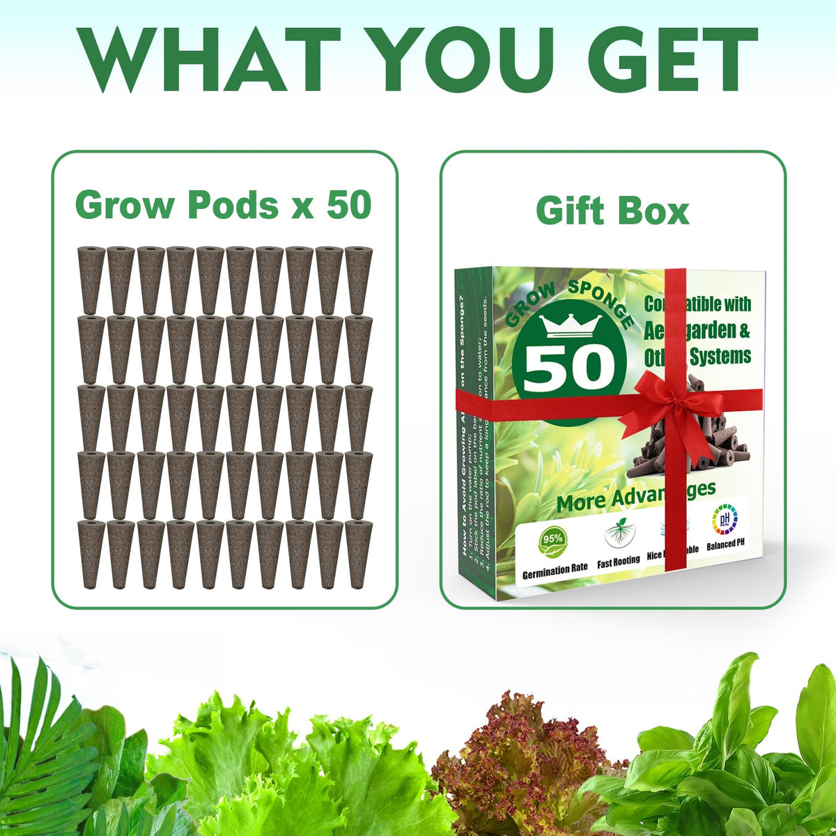 Aooccder seed starter sponges suit vegetables, herbs, and flowers indoors.