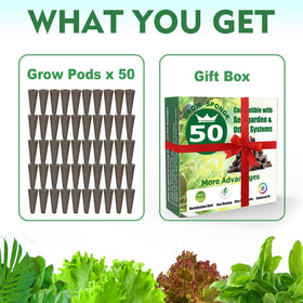 Aooccder seed starter sponges suit vegetables, herbs, and flowers indoors.