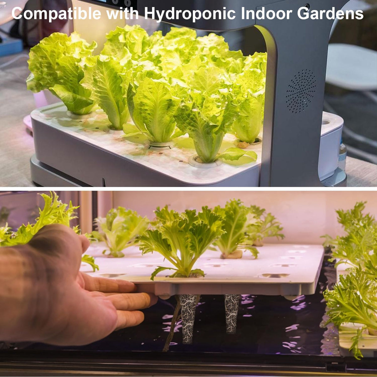 Aooccder sponges suitable for vegetables, herbs, and ornamentals