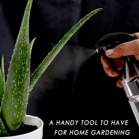 AORAKI multi-use spray bottle is perfect for plants and light cleaning tasks.