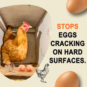 Aoriher natural jute surface provides comfortable nesting for hens and easy egg collection.