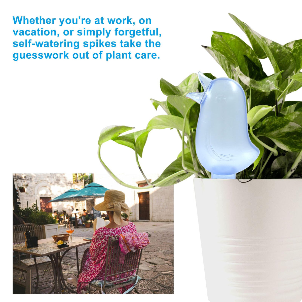 Aoserge spike ideal for indoor and outdoor plants, reducing daily watering tasks.
