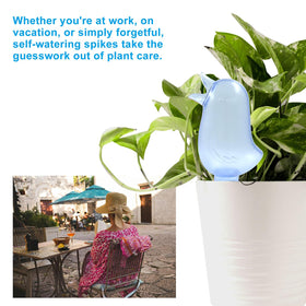 Aoserge spike ideal for indoor and outdoor plants, reducing daily watering tasks.