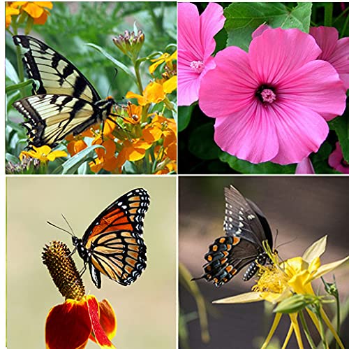 Apexmode long bloom season mix delivers color as varieties mature at different times