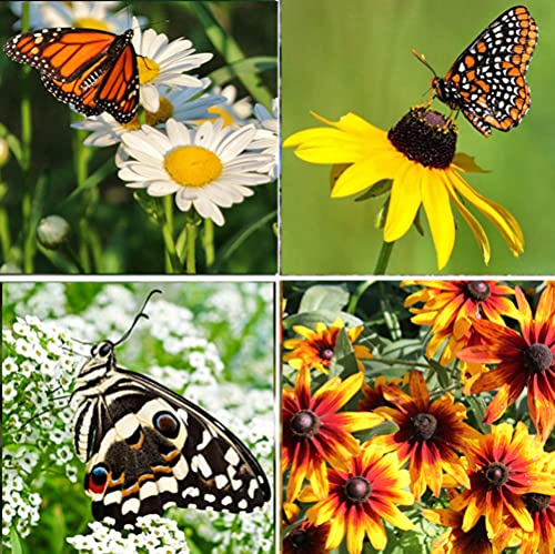 Apexmode open-pollinated non GMO wildflower seeds preserve natural varieties for your landscape