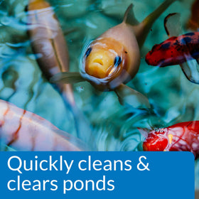Back label of API Pond Simply Clear emphasizing safety for fish and plants