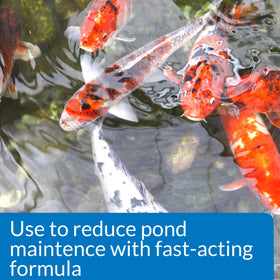Close-up of API Pond Simply Clear label highlighting safe, two-step action