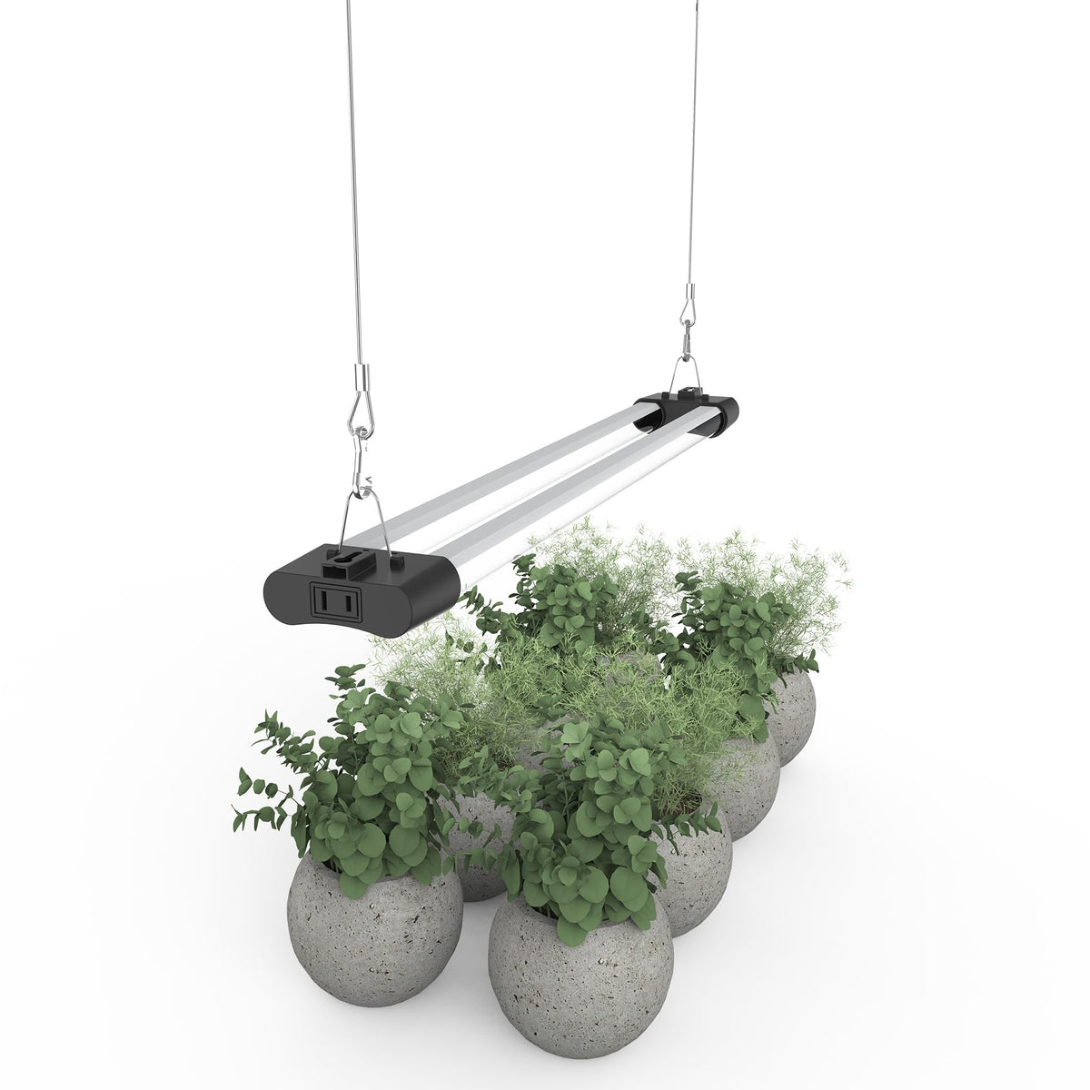 APICDOM daylight 5000K spectrum ideal for leafy greens and seedlings.
