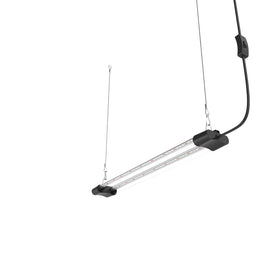 APICDOM easy installation with hanging cable and plug and play setup.