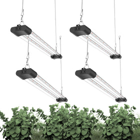 APICDOM LED grow light full spectrum panel for robust indoor plant growth.