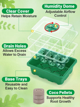 Apipi coco coir pellets expanding to form a healthy rooting medium