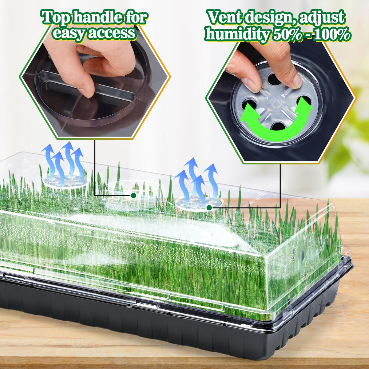 Apipi greenhouse dome for seedlings supports healthy growth