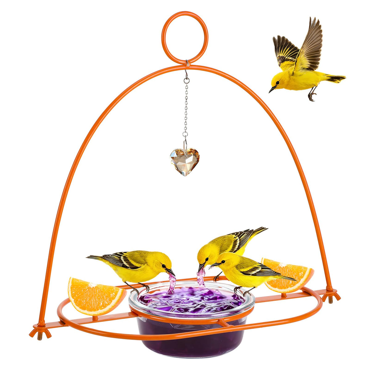 Apipi orange metal frame feeder attracts Orioles in your backyard.