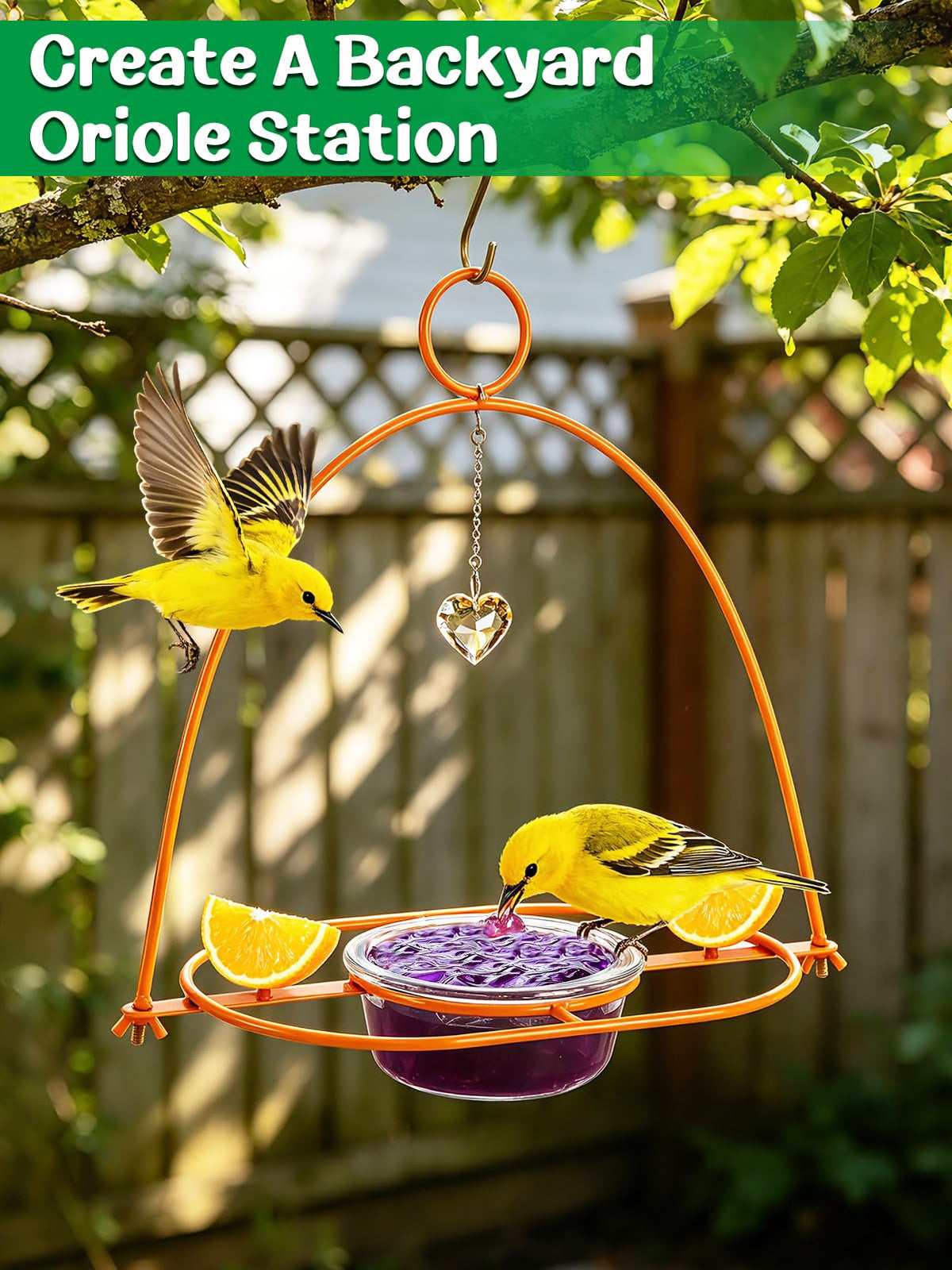 Apipi 5mm welded metal frame ensures durable outdoor use.