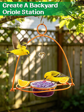 Apipi 5mm welded metal frame ensures durable outdoor use.