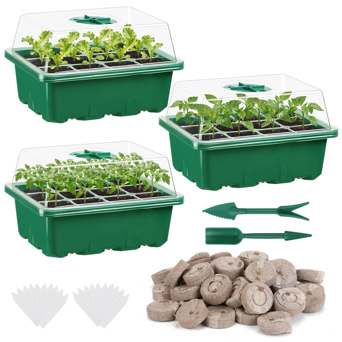 Apipi seed starter kit with 36-cell trays for organized indoor germination