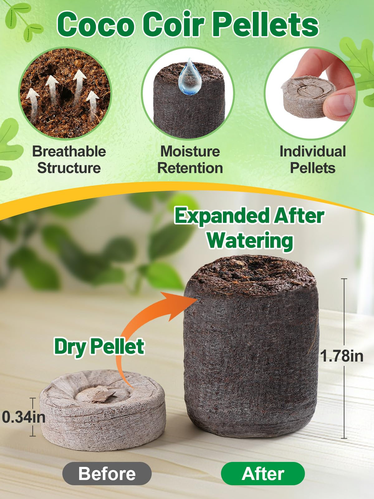 Apipi transplant tools for moving seedlings without damage