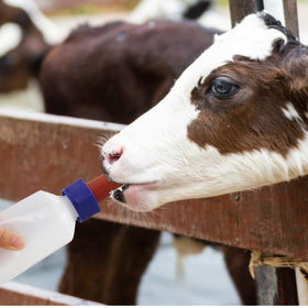 APlayfulBee durable rubber nipples ensure consistent milk-like flow